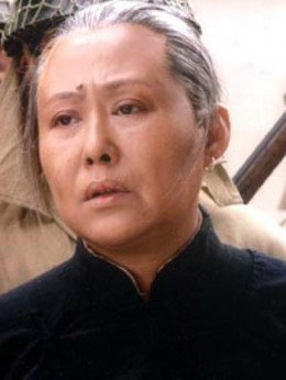 野火春風斗古城劇情介紹_劇情家