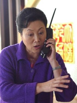小麥進城劇情介紹_劇情家