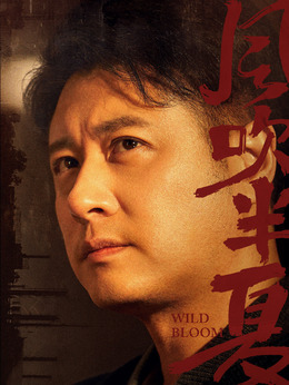 風吹半夏劇情介紹_劇情家
