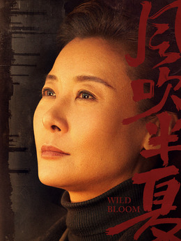 風(fēng)吹半夏劇情介紹_劇情家