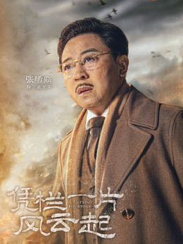 憑欄一片風云起劇情介紹_劇情家