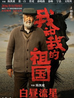 我和我的祖國(guó)劇情介紹_劇情家