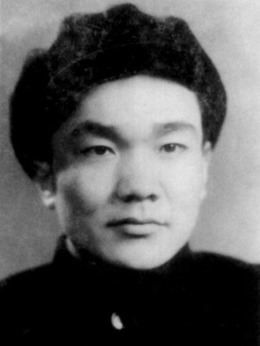 平原游擊隊劇情介紹_劇情家
