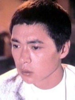 平原游擊隊劇情介紹_劇情家