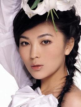 雙槍李向陽劇情介紹_劇情家