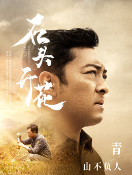 石頭開花劇情介紹_劇情家