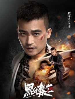 黑白禁區(qū)劇情介紹_劇情家