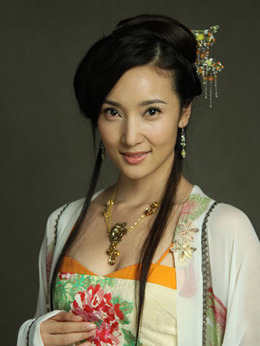大唐女將樊梨花劇情介紹_劇情家
