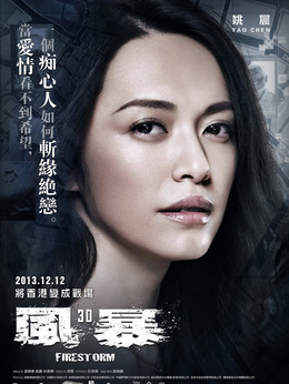 風(fēng)暴劇情介紹_劇情家