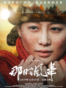那時(shí)風(fēng)華劇情介紹_劇情家