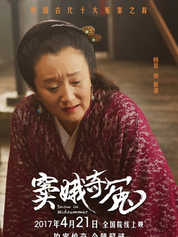 竇娥奇冤劇情介紹_劇情家