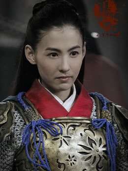 楊門(mén)女將之軍令如山劇情介紹_劇情家