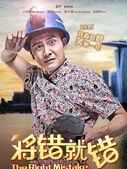 將錯(cuò)就錯(cuò)劇情介紹_劇情家