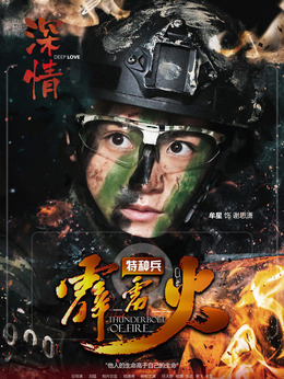 特種兵之霹靂火劇情介紹_劇情家