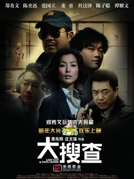 大搜查劇情介紹_劇情家