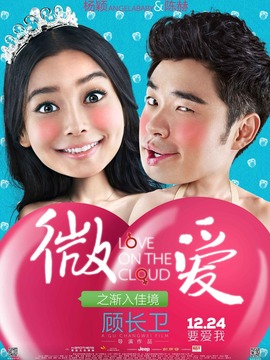 微愛(ài)之漸入佳境劇情介紹_劇情家