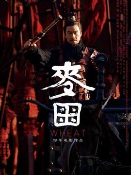長平大戰之麥田劇情介紹_劇情家