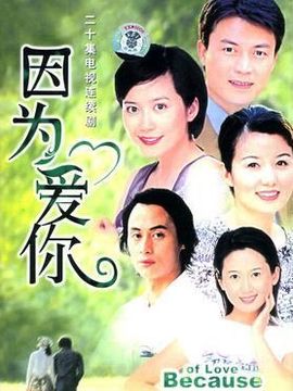 因為愛你劇情介紹_劇情家