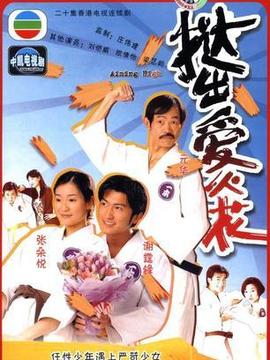 撻出愛(ài)火花劇情介紹_劇情家