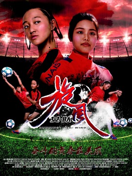 旋風女隊劇情介紹_劇情家