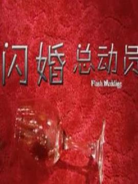 閃婚總動(dòng)員劇情介紹_劇情家