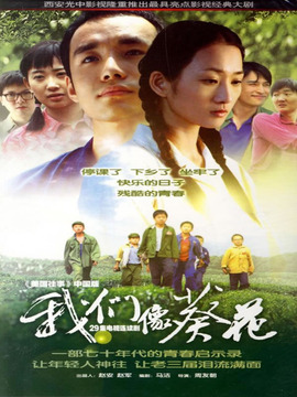 我們像葵花劇情介紹_劇情家