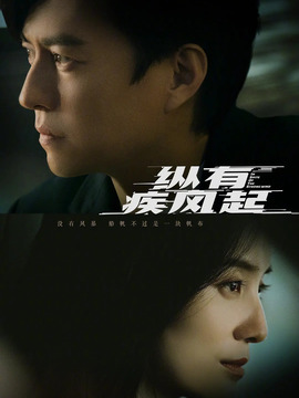 縱有疾風起劇情介紹_劇情家