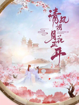 清風朗月花正開劇情介紹_劇情家