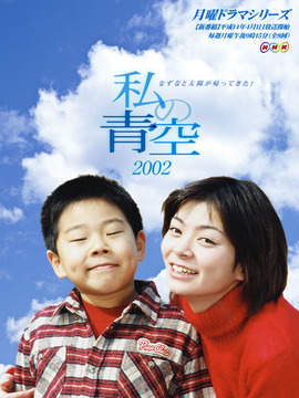 小媽媽的天空劇情介紹_劇情家