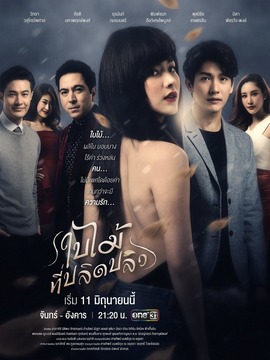 吹落的樹葉劇情介紹_劇情家